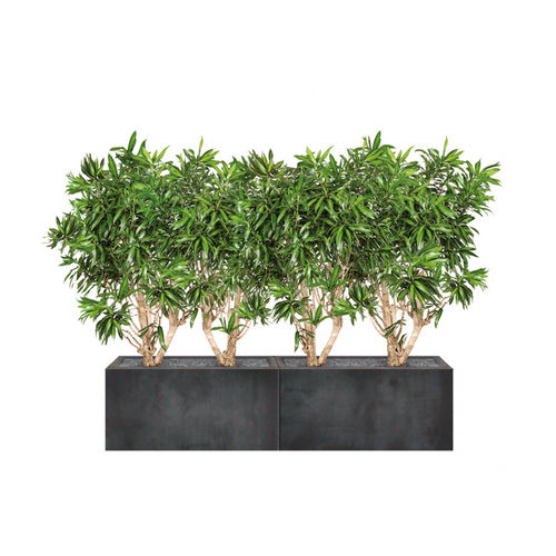 Jardinière en pierre - DRACAENA - Artaqua - rectangulaire / modulable / contemporaine
