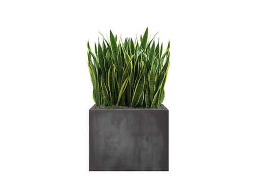 Jardinière en pierre - SANSEVIERIA - Artaqua - rectangulaire / modulable / contemporaine