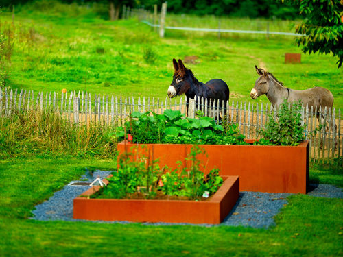 Jardinière potager en acier corten - BACS DE JARDINAGE - PK70 - résidentiel