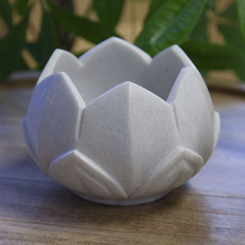 Bol - LOTUS - Zenza
