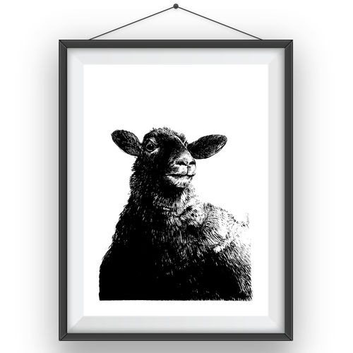 Tableau décoratif sur papier - SHEEP - Studio 19 - à motif animalier