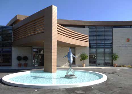 Piscine d'extérieur - FUJI FOUNTAINS NIKOLAIDIS - d'intérieur / enterrée / en béton
