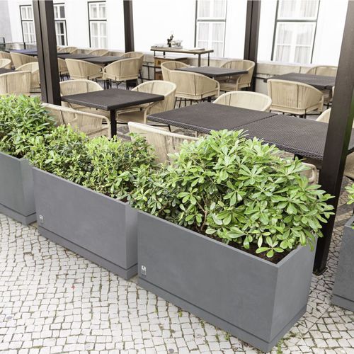 Jardinière en béton - REGULAR WITH SAUCER - Modern Line - rectangulaire / carrée / contemporaine