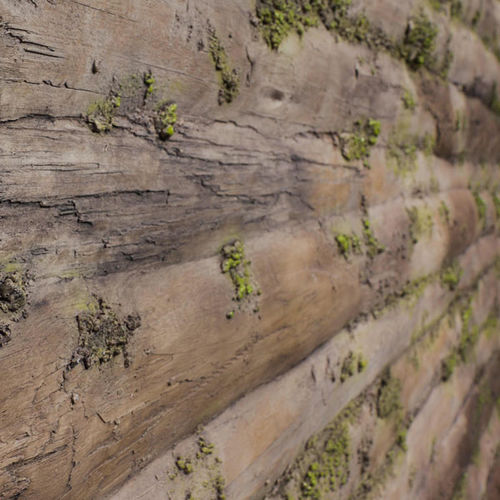 Revêtement mural pour intérieur - BAOBAB MOSS - Artstone - pour l'extérieur / en bois / texturé