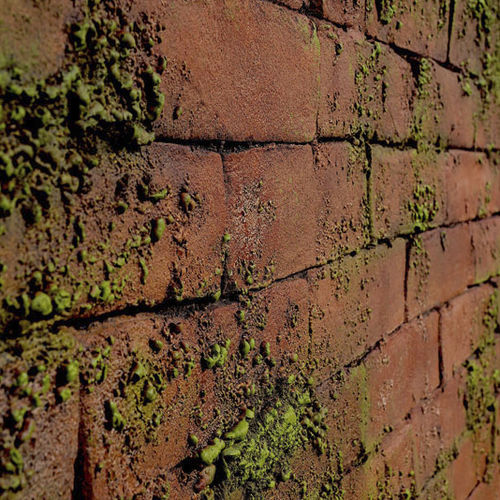 Revêtement mural pour intérieur - MASONRY MOSS - Artstone - pour l'extérieur / en béton / texturé