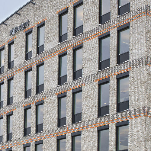 Parement en briques - CARLSBERG BJÆLKER™ - Randers Tegl A/S - extérieur / à coller / rustique
