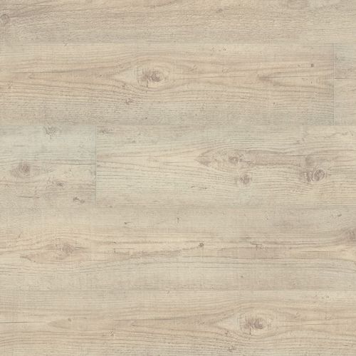 Sol stratifié en HDF - 500 XL V4 : DENALI PINE - windmöller flooring products WFP GmbH - clipsable / aspect bois / résidentiel