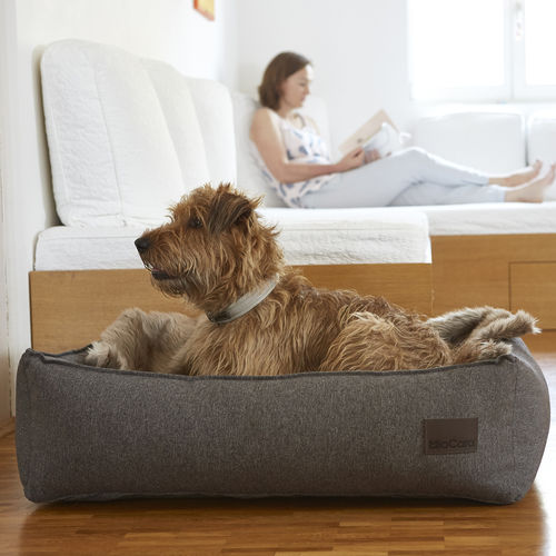 Lit pour chien en coton - NUBE - MiaCara - en polyester / gris / lavable en machine