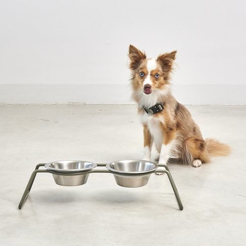 Gamelle pour chien en métal - CENA - MiaCara - grise / contemporaine