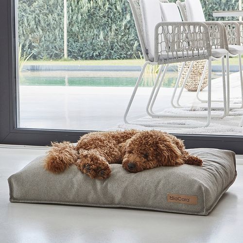 Coussin pour chien en polyester - MARE - MiaCara - gris / sable / rectangulaire