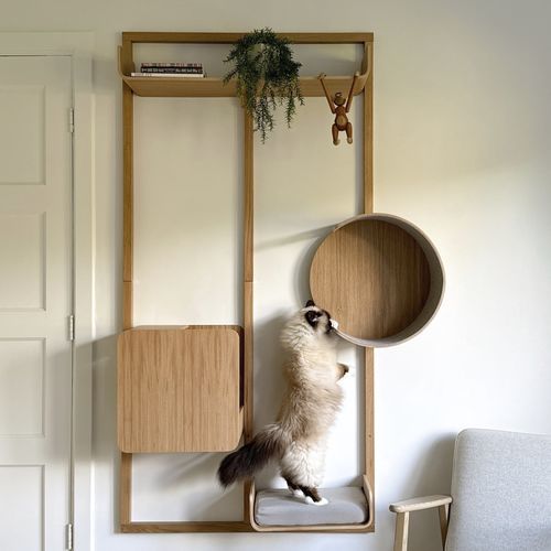 Arbre à chat en chêne - ALTO - MiaCara - avec griffoir