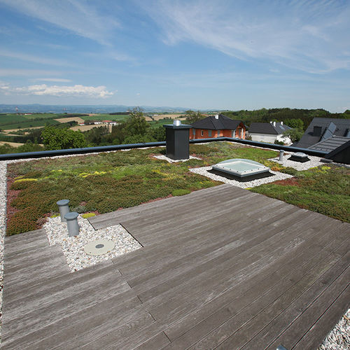 Toiture végétalisée pour toiture plate - MONSUN GmbH - extensive / intensif / pour toiture inclinée