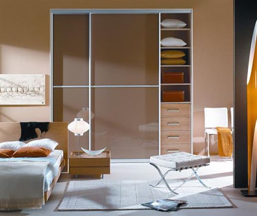 Porte de placard en placage de bois - MODERN - Dayoris doors - battante / vitrée / double vantaux