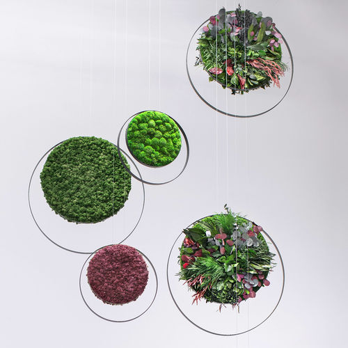 Tableau végétal stabilisé - RINGS - Greenmood - en mousse boule / feuillages denses / d'intérieur