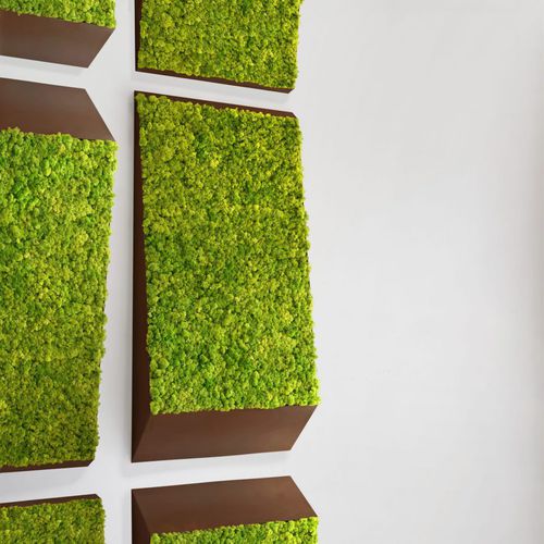 Mur végétal stabilisé - PERSPECTIVE LINES - Greenmood - en panneau modulaire / naturel / en mousse boule