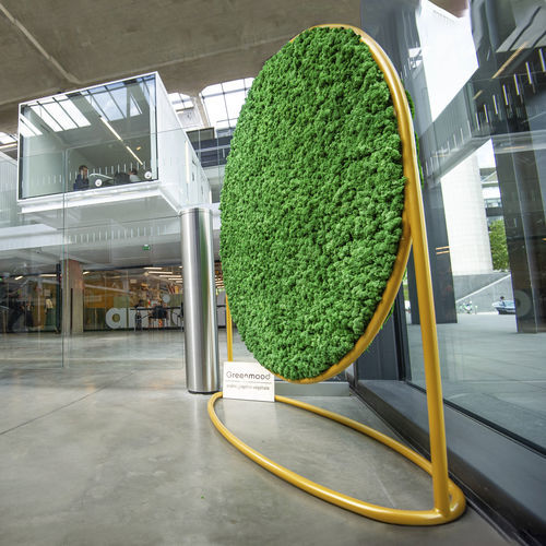 Tableau végétal stabilisé - G-SCREENS - Greenmood - en mousse boule / feuillages denses / en lichen