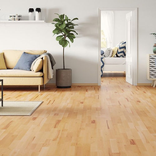 Parquet contrecollé - MASURIA MOLTI - Barlinek - en hêtre / laqué / à coller