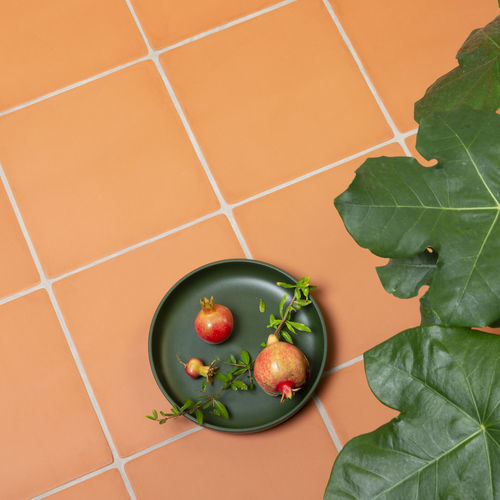 Carrelage en céramique - ANTICA - CERAMICA FERRES - mat / d'intérieur / d'extérieur