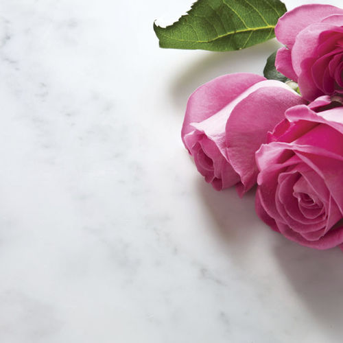 Plan de travail en Solid Surface - CARRARA WHITE - Minerva Work Surfaces - de cuisine