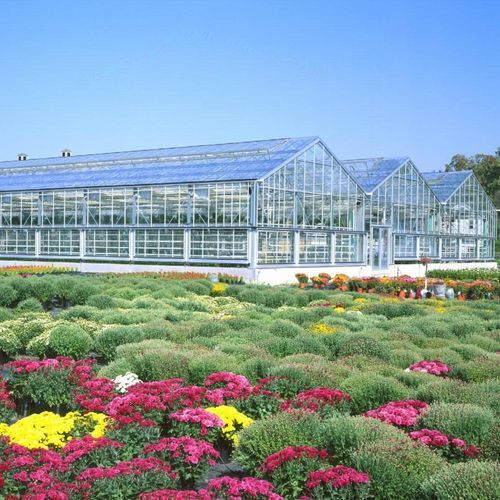 Serre professionnelle - WIDE-SPAN - DEFORCHE - de jardinage / de production / botanique