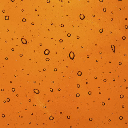 Panneau décoratif mural - HONEY - PlusObject - en verre