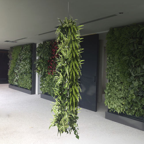 Mur végétal stabilisé - HANGING GREEN - Green Urban Life GmbH - d'intérieur