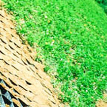 Géocellule antiérosion - GEOWEB® EROSION CONTROL - Presto Geosystems