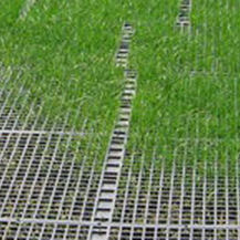 Géogrille pour stabilisation de sol - GEORUNNER® TURF - Presto Geosystems - pour fondation / en polymère