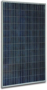 Panneau photovoltaïque en silicium polycristallin - SI-ESF-M-P125-96 - Solar Innova Green Technology - coloré