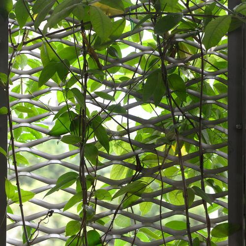 Maille métallique en aluminium - SK-ARCHITECTURE  - SHANG KAI STEEL CO., LTD. - en acier / en acier galvanisé / en acier inoxydable
