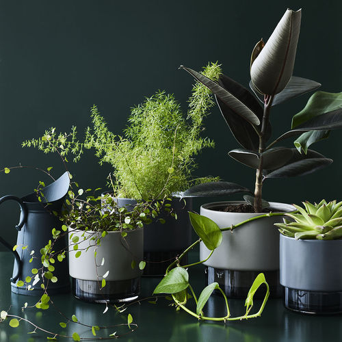Pot de fleur en céramique - GRO - lucie kaas - en verre / à poser / rond