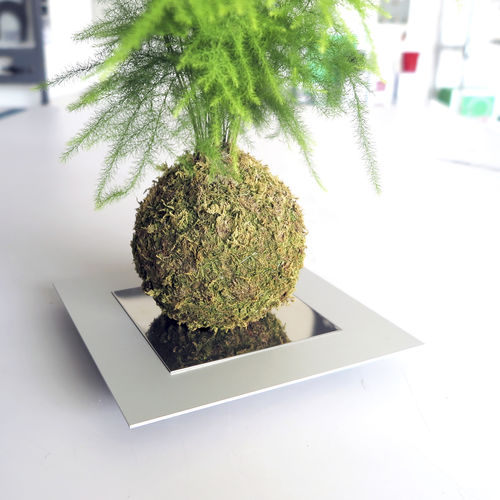 Support pour plantes en acier - IT8903 - dESIGNoBJECT - décoratif / blanc