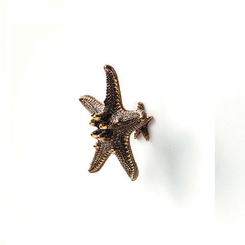Bouton de meuble design original - LINCKIA OC2011 - PullCast - en laiton