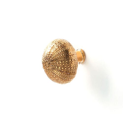 Bouton de meuble design original - URCHIN OC2014 - PullCast - en laiton