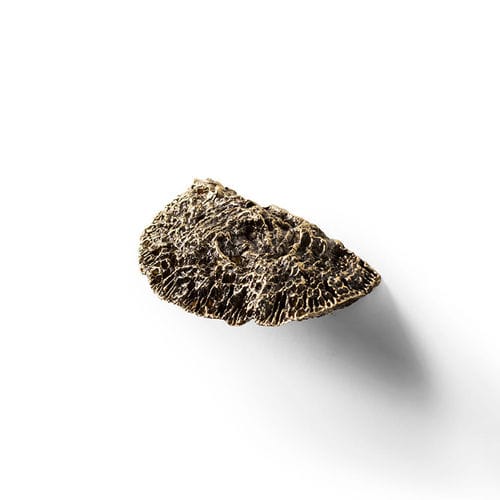 Poignée de meuble en laiton - FUNGI EA1034 - PullCast - brossée / polie / vieillie