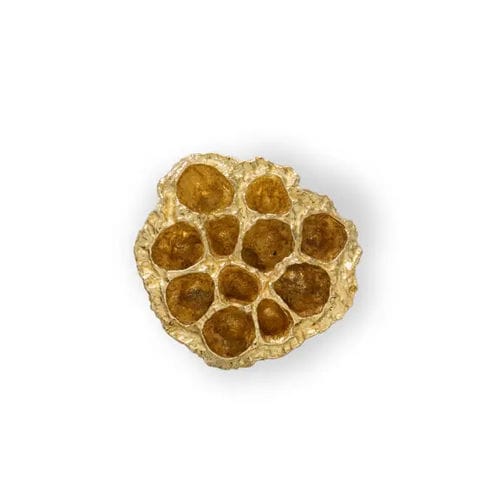 Bouton de meuble design original - COMB EA1022 - PullCast - en laiton brossé / en laiton poli