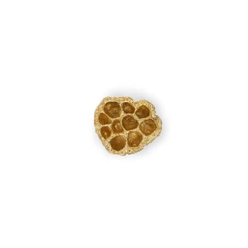 Bouton de meuble design original - COMB EA1023 - PullCast - en laiton brossé / en laiton poli