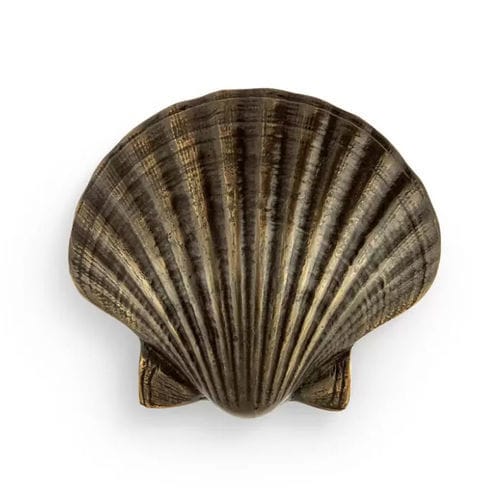 Poignée de meuble en laiton - SEASHELL OC2040 - PullCast - brossée / polie / vieillie