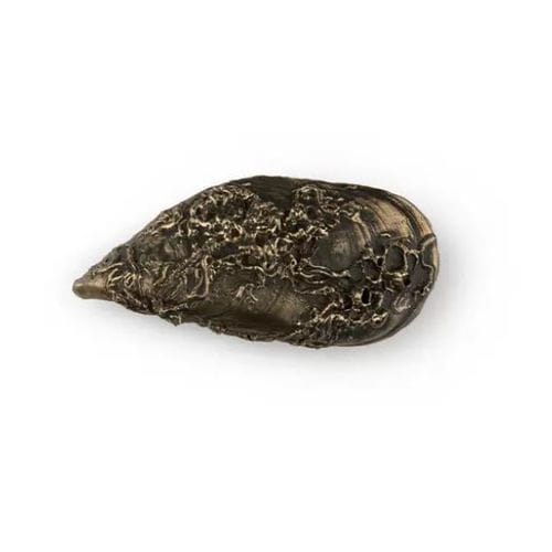 Bouton de meuble classique - CORAL OC2060 - PullCast - en laiton