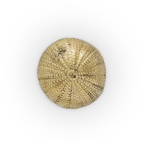 Bouton de meuble contemporain - URCHIN OC2026 - PullCast - en laiton brossé / en laiton poli / en laiton vieilli