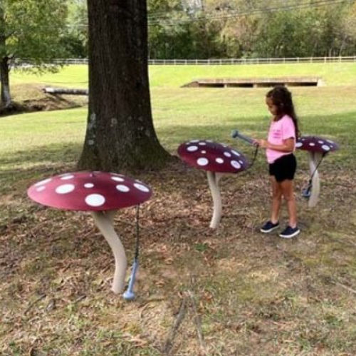 Structure de jeu musicale - MUSHROOM    - Nature of Early Play - pour aire de jeux / en métal
