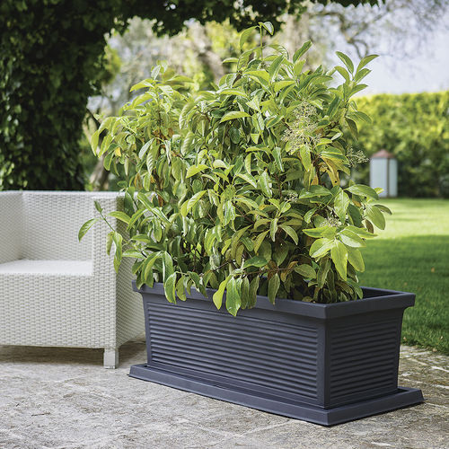 Jardinière en polyéthylène rotomoulé - ROME : FIORIERA MILLERIGHE - MONACIS - rectangulaire / résistante aux intempéries / résistante aux UV