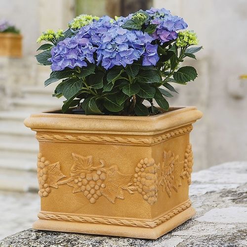 Jardinière en polyéthylène rotomoulé - ROME : QUADRO UVA - MONACIS - carrée / résistante aux intempéries / résistante aux UV