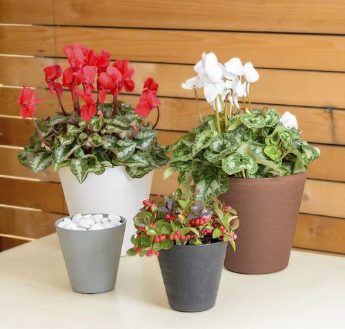 Pot de jardin en plastique - HOOP - TeraPlast - à poser / rond
