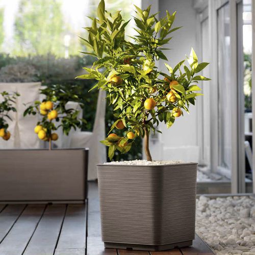 Pot de jardin en plastique - PIXEL - TeraPlast - à poser / carré