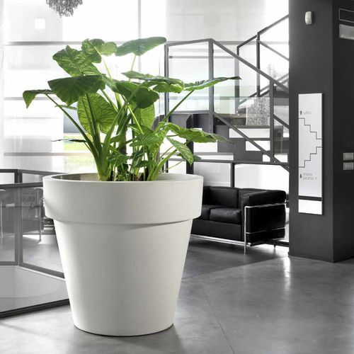 Pot de jardin en plastique - STANDARD ONE - TeraPlast - à poser / rond