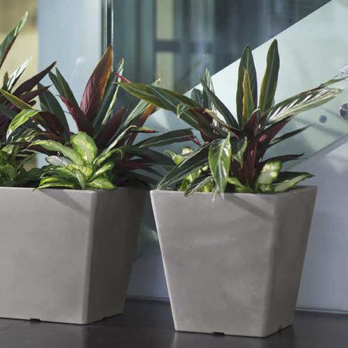 Jardinière en plastique - PASUBIO QUADRO - TeraPlast - carrée / contemporaine / d'extérieur