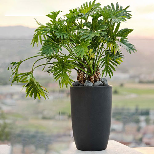 Pot de jardin en terracotta - BOLD METI - TeraPlast - rond / résidentiel