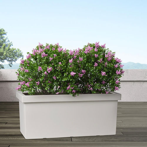 Jardinière en polyéthylène rotomoulé - Sagitta – ALBA - PASQUINI & BINI - rectangulaire / sur mesure / contemporaine