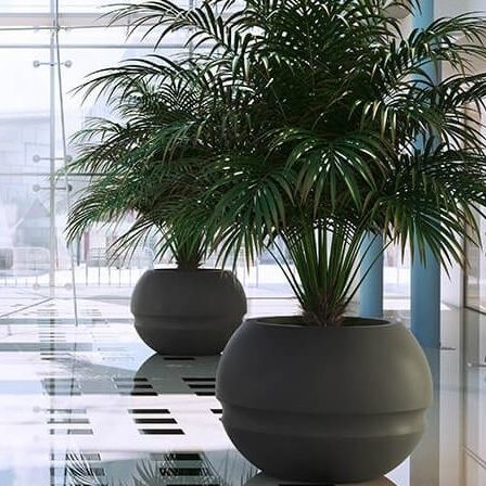 Pot de jardin en polyéthylène rotomoulé - Marte - PASQUINI & BINI - rond / résidentiel / marron